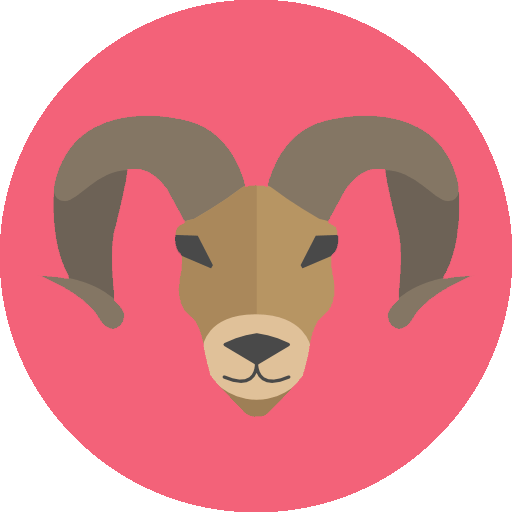 Aries Star Sign