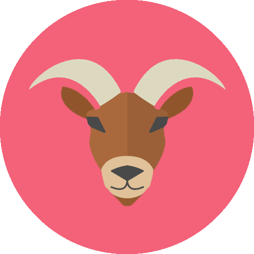 Capricorn Star Sign