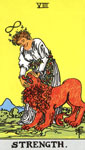 Major Arcana Strength